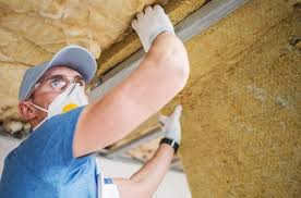 Best Wall Insulation Installation  in Ionia, MI