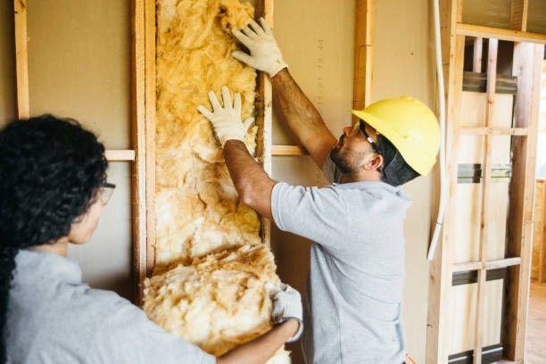 Best Soundproof Insulation  in Ionia, MI