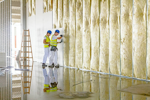 Best Garage Insulation  in Ionia, MI